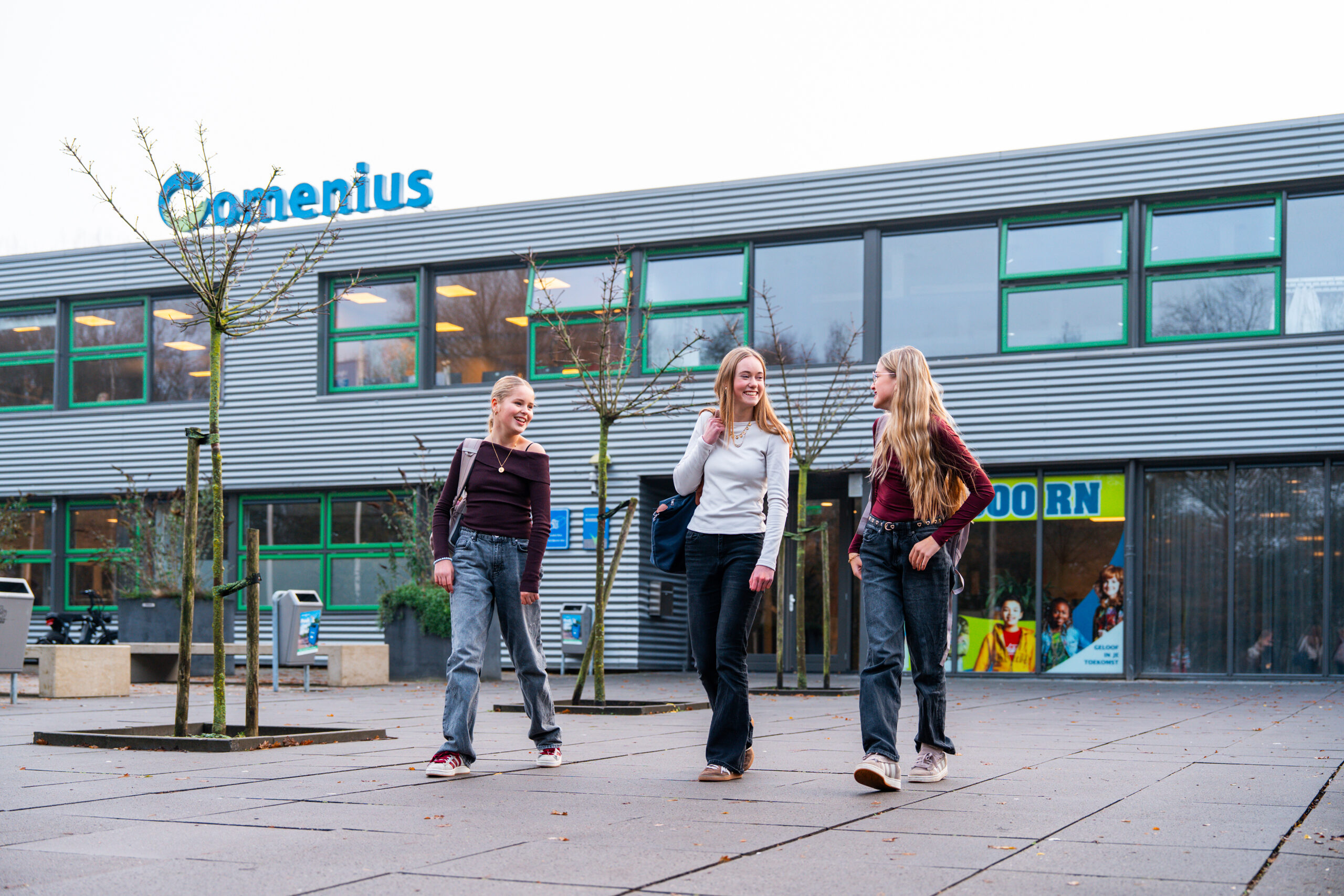 CSG Comenius Esdoorn