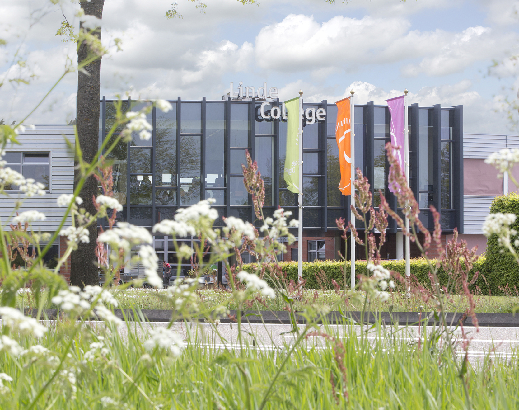 Linde College